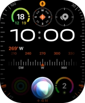 Say, in your own words, what you would like your Apple Watch to do.