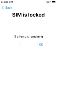If your SIM is locked, key in your PIN and press OK.