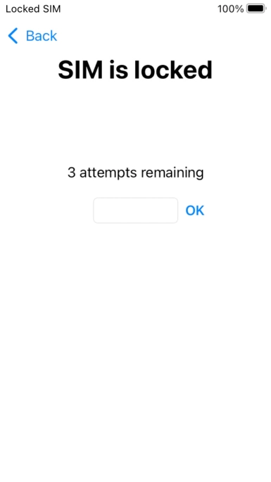 If your SIM is locked, key in your PIN and press OK.