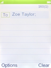 Highlight the text input field and key in the required text.