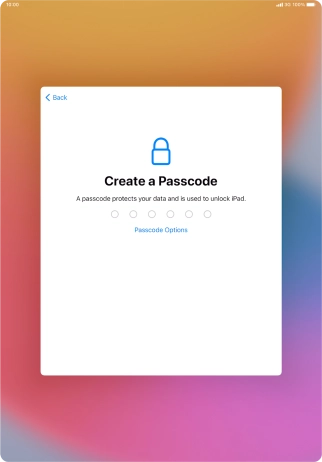 Press Passcode Options.
