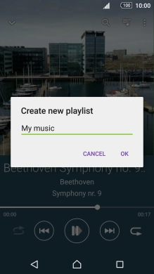 Key in a name for the playlist and press OK.
