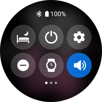 Press the suppression of calls and notifications icon to turn the function on or off.