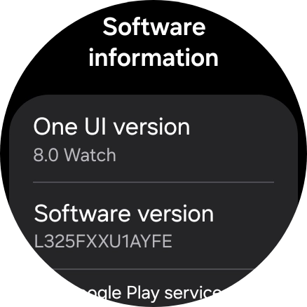 The software version of your smartwatch is displayed below Software information. The software version of your smartwatch is displayed below Software information.
