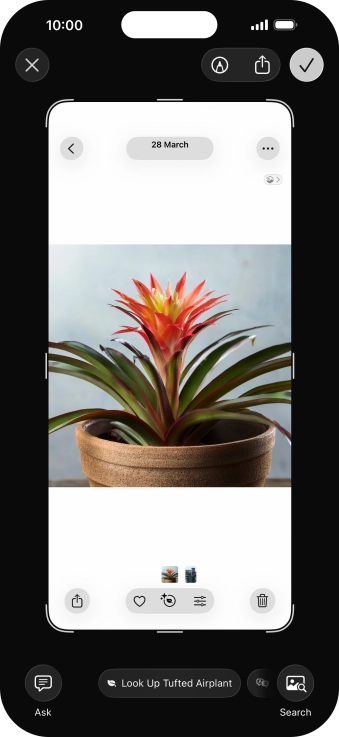 To use visual intelligence via screenshot, take a screenshot and follow the instructions on the screen to use the function.