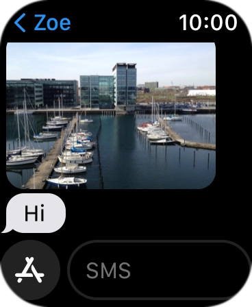Press Text Mess... and record the message.