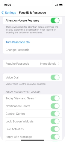 Press Turn Passcode On and key in a phone lock code of your own choice twice.