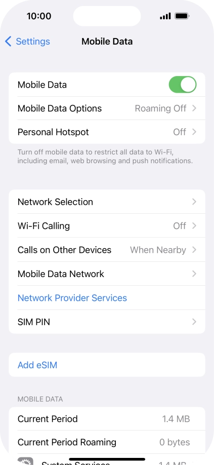 Press Mobile Data Options.