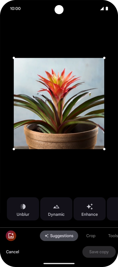 Press the AI icon and follow the instructions on the screen to use the function.