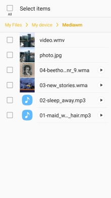 Press the required file.