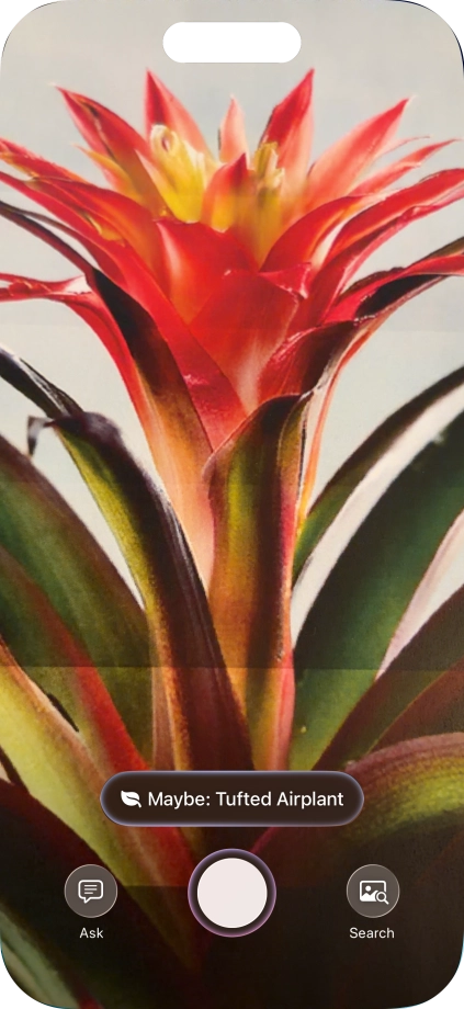 For information about animals and plants, press the information field.