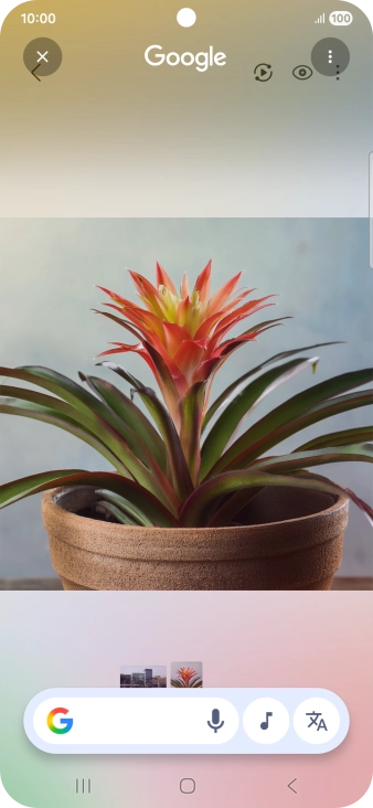 Draw a circle around the required object on the picture and wait for the search results.