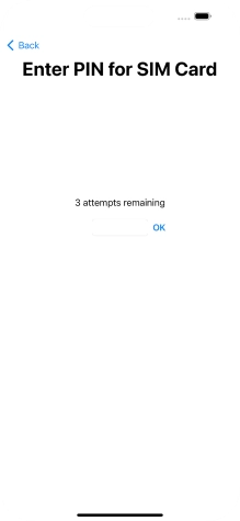 If your SIM is locked, key in your PIN and press OK.