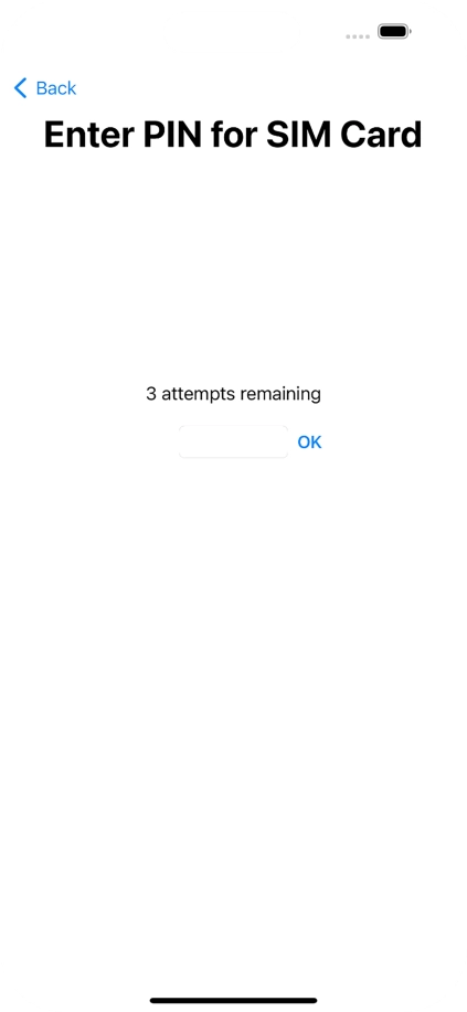 If your SIM is locked, key in your PIN and press OK.