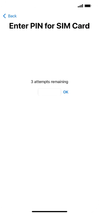 If your SIM is locked, key in your PIN and press OK.