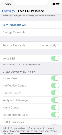 Press Turn Passcode On and key in a phone lock code of your own choice twice.