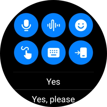 Press the microphone icon and follow the instructions on the screen to record and send the required reply.