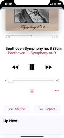 Press Shuffle to turn the function on or off.