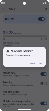 If you turn on data roaming, press OK.