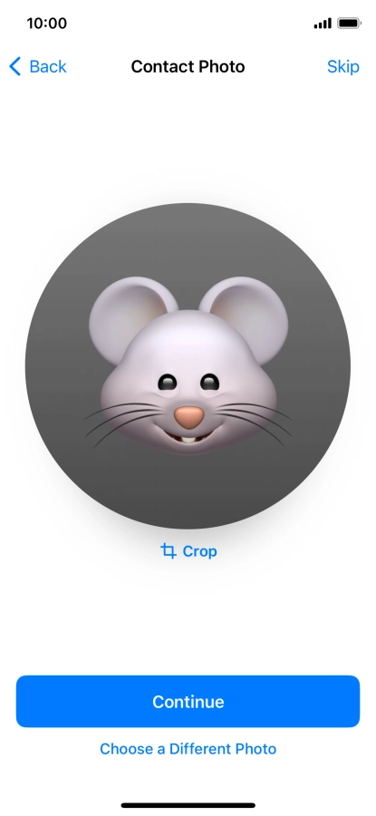 Follow the instructions on the screen to customise the selected picture and press Continue.