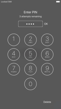 Key in your PIN and press OK.