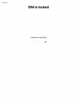 If your SIM is locked, key in your PIN and press OK.