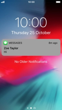 Press the required notification and follow the instructions on the screen to use the selected function.