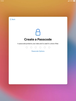 Press Passcode Options.