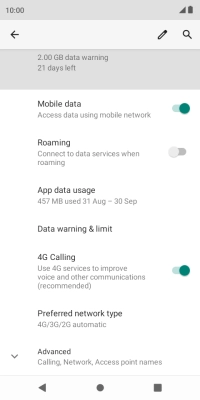 Press Preferred network type.