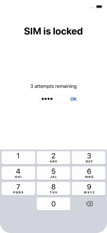 If your SIM is locked, key in your PIN and press OK.