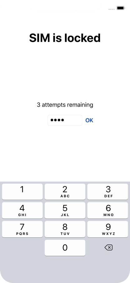 If your SIM is locked, key in your PIN and press OK.