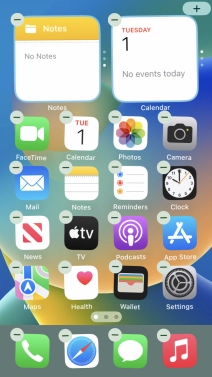 Press the home screen icon.