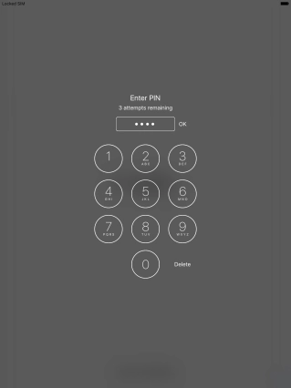 Key in your PIN and press OK.