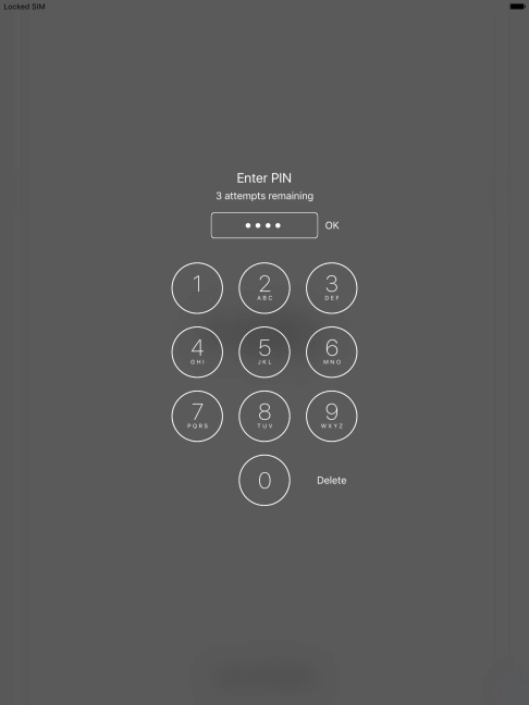 Key in your PIN and press OK.