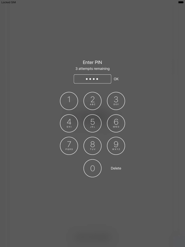 Key in your PIN and press OK.