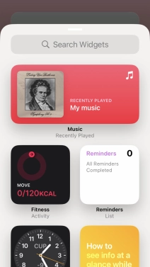Press the required widget.
