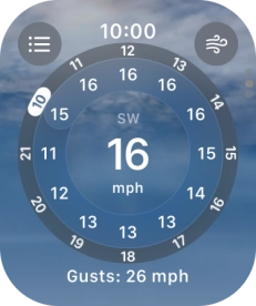 Press the Digital Crown to return to the home screen. Press the Digital Crown to return to the home screen.