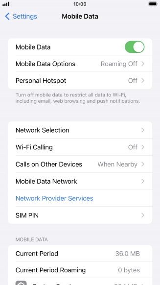 Press Mobile Data Options.