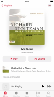 Go to the required category or playlist and press the required audio file.