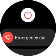 Press the power off icon. Press the power off icon.