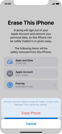 Press Erase iPhone.