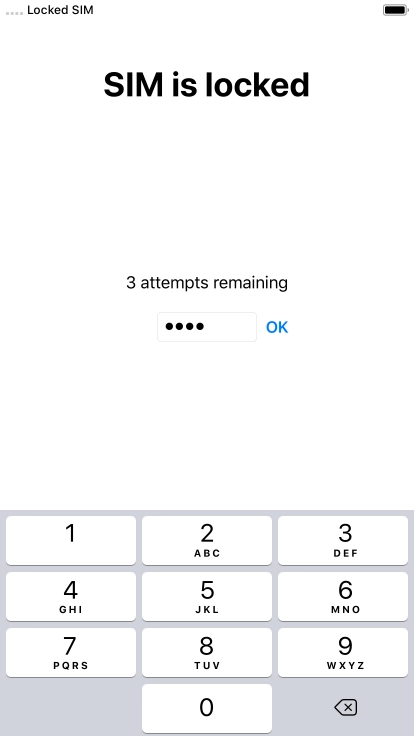 If your SIM is locked, key in your PIN and press OK.