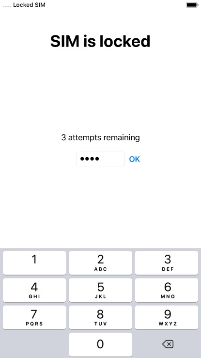 If your SIM is locked, key in your PIN and press OK.