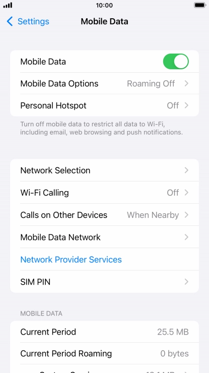 Press Mobile Data Options.