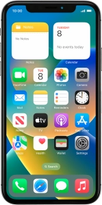 Apple iPhone X