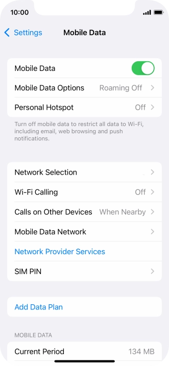 Press Mobile Data Options.