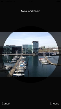 Drag the frame to the required position to select the required detail and press Choose.