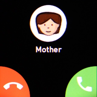 Press the accept call icon.