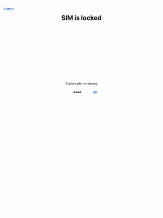 If your SIM is locked, key in your PIN and press OK.
