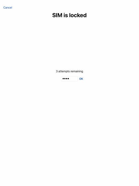 If your SIM is locked, key in your PIN and press OK.